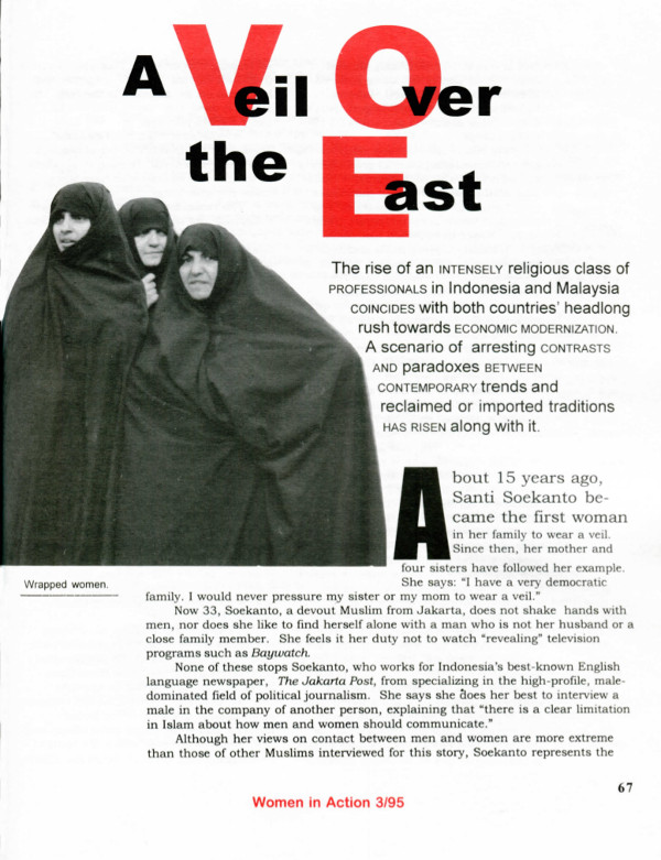 Cover of A Veil Over the East