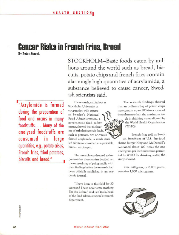 Cover of Cancer Risks in French Fries, Bread