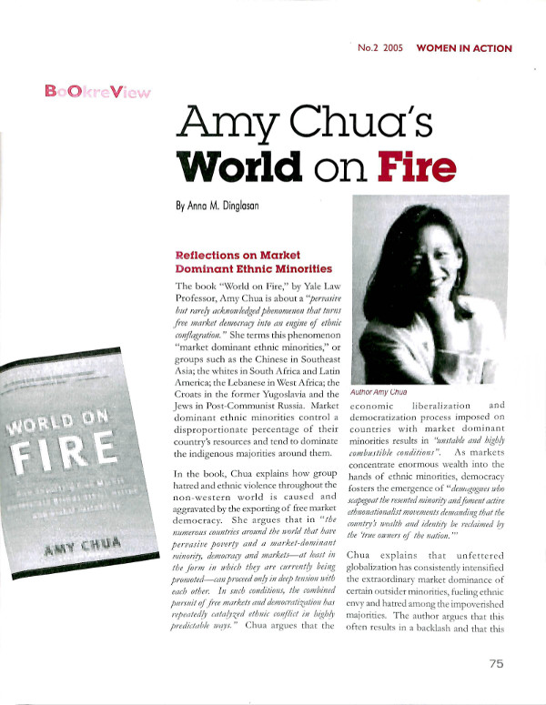 Cover of Amy Chua's World on Fire