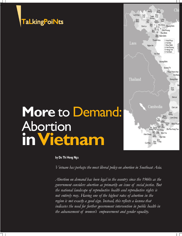 Cover of More to Demand: Abortion in Vietnam