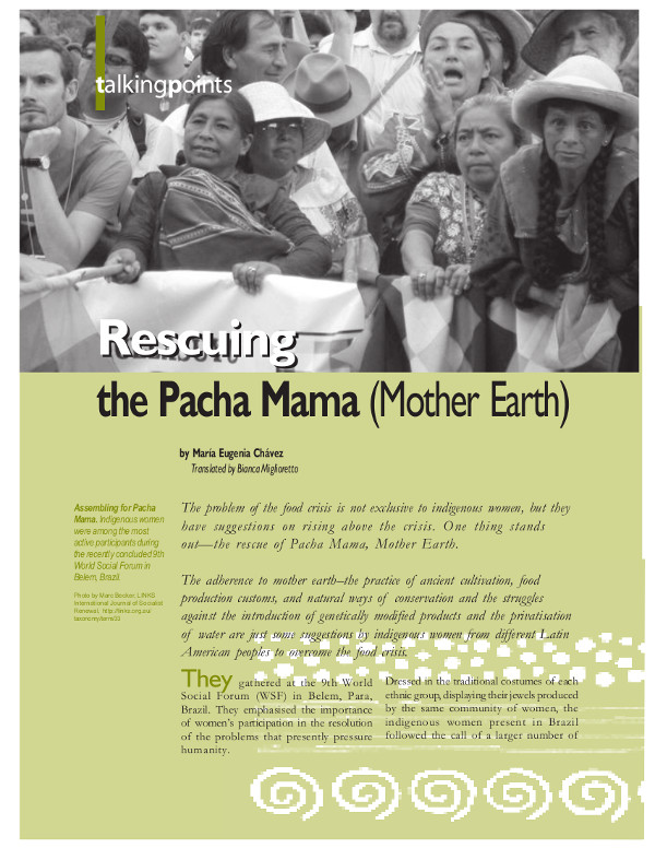 Cover of Rescuing the Pacha Mama (Mother Earth)