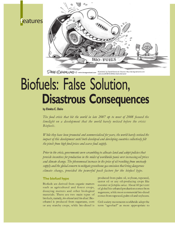 Cover of Biofuels: False Solution, Disastrous Consequences