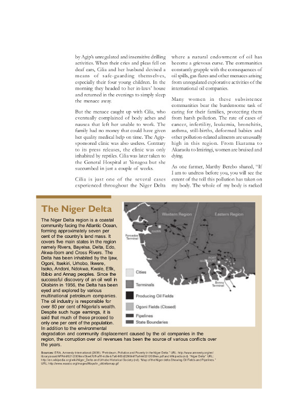 Cover of The Niger Delta