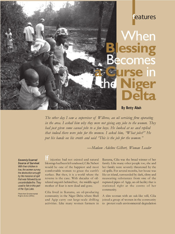 Cover of When Blessing Becomes a Curse in the Niger Delta